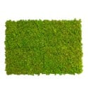 Tableaux végétaux stabilisés 4 60x40cm panneaux GreenBox Kit Lichene Catalogue
