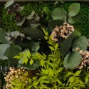 Pflanzenbilder stabilisiert Blumen Pflanzen Wand ForestMoss Persefone