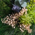 Quadri vegetali fiori stabilizzati piante parete ForestMoss Persefone Costo