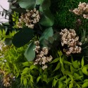 Quadri vegetali fiori stabilizzati piante parete ForestMoss Persefone Acquisto