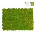 Tableaux végétaux stabilisés 4 60x40cm panneaux GreenBox Kit Lichene Vente